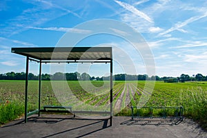 Lonely bus stop in the countryside