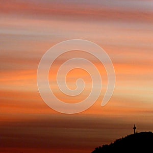 Lonely cactus at the sunrise