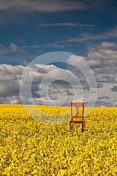 Lonely chair on the empty field