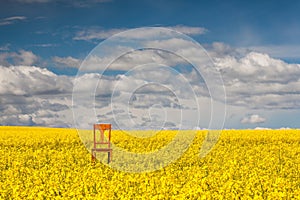 Lonely chair on the empty field