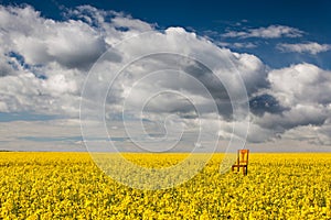 Lonely chair on the empty field