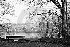 The lonely chair in winter