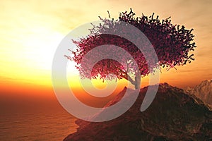 Lonely Cherry Tree on Seaside Rocks