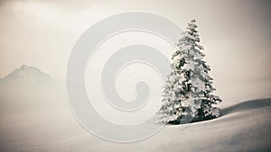 Lonely Christmas tree in the snow on the mountain