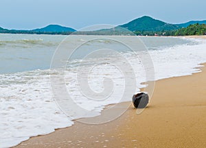 The Lonely Coconut on the Beach