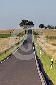 Lonely country road
