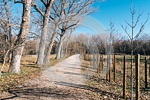 Lonely country road at Autumn a sunny day