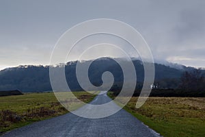 A lonely country road going across common land in the English countryside, heading towards a misty forest. On a bleak, moody winte