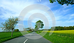 Lonely country road in spring. Germany, Schleswig-Holstein