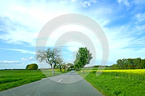 Lonely country road in spring. Germany, Schleswig-Holstein