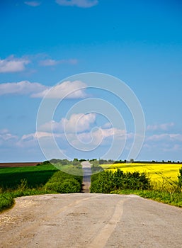 Lonely countryside road