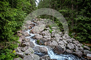 The lonely creek between the boulders. The Tatras.