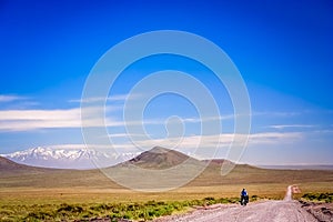 Lonely cyclist cycling on the Ruta 40 photo