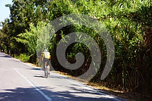 Lonely cyclist on the hot asphalt rides a bike along the road alone surrounded by trees and forest nature