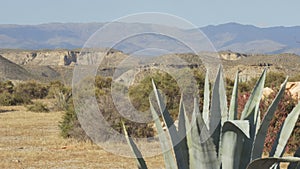 Lonely desert landscape in the middle of mountains