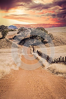 A lonely dirt road through the grasslands along the border between the United States and Mexico