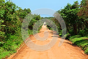 Lonely dirt road through the jungle in Yala National Park