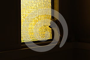 Lonely dog at the window sill