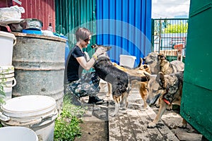 Lonely dogs in cage with volunteers. Animal shelter volunteers takes care of dogs