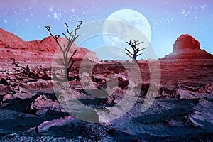 Lonely dry trees in the desert against a beautiful pink sky and a full moon. Moonlight in the desert. Artistic natural image