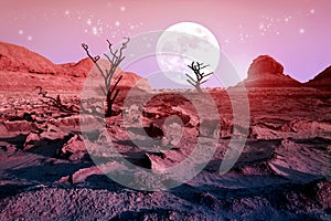 Lonely dry trees in the desert against a beautiful pink sky and a full moon. Moonlight in the desert. Artistic natural image.