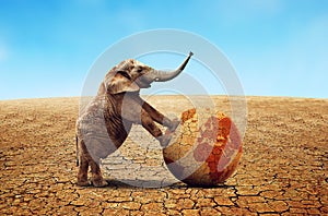 Lonely elephant with dry planet earth in parched country with cracked soil.