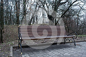 Lonely empty bench in the early spring park
