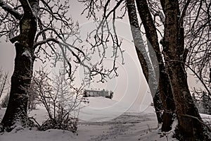 A lonely farmhouse appears on a snow-covered hill through thick tree trunks