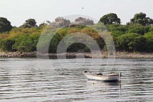 Lonely fishing boat docked in calm lake. wooden fishing boat in a still lake water.