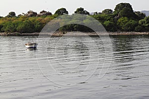 Lonely fishing boat docked in calm lake. wooden fishing boat in a still lake water.