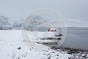 Lonely fishing house of Lofoten