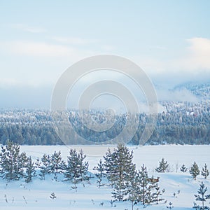 Lonely footpath running under leafless trees along a calm river