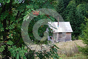 Lonely forest cottage