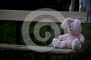 Lonely forgotten abandoned teddy toy bunny rabbit sat on an old wooden bench and waiting for owner.