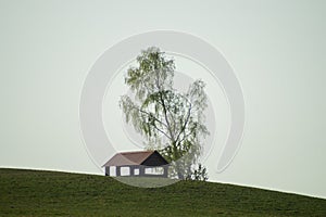 Lonely gazebo on the hill. summerhouse under tree standing alone in the field. solitude concept