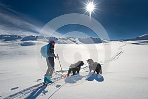 Lonely girl in the mountains with ski touring and two dogs