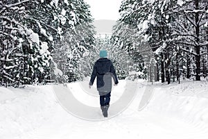 A lonely girl in a short coat and a blue hat walks through a beautiful winter snowy forest