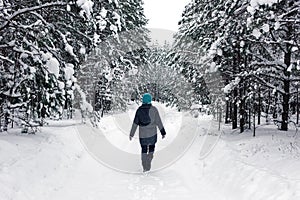 A lonely girl is walking in the winter snowy forest. Back view