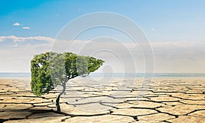 Lonely green tree in the desert. Mixed media