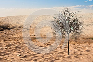 Lonely green tree in the desert. Mixed media