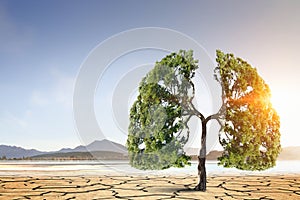 Lonely green tree in the desert. Mixed media