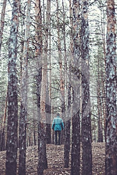 A lonely guy in a pine forest in the autumn time