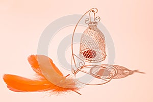 Lonely heart locked in the bird cage with nice lovely shadow against pastel background. Two bird feather lying on the floor