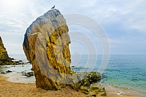 Lonely high rock on the sand beach in cloudy weather in Lloret de Mar, Costa Brava