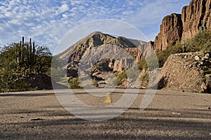 Lonely highway with yellow middle line in a beautiful and arid desert landscape showing cactus and desert rock formations Peru