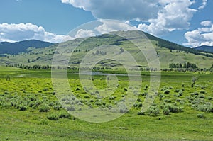 Lonely hill on the Altai mountains.