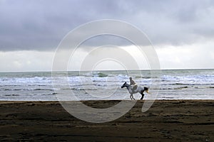 Lonely horse rider on a beach