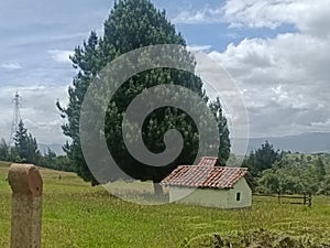 The lonely house in Cundinamarca photo