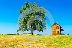 Lonely house in a meadow next to a lone tree