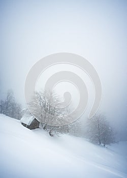 Lonely house in a snowy forest